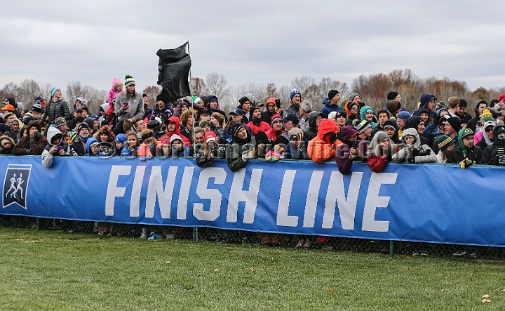 2016NCAAXC-128.JPG - Nov 18, 2016; Terre Haute, IN, USA;  at the LaVern Gibson Championship Cross Country Course for the 2016 NCAA cross country championships.